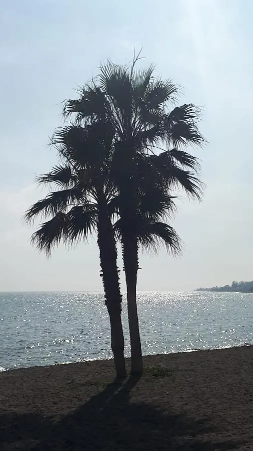 公寓 El Paraiso Golf Y Playa 埃斯特波纳